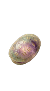 龟壳